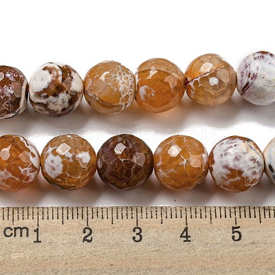 Faceted Natural Fire Crackle Agate Beads Strands G-F447-12mm-N10-1