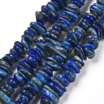 Natural Lapis Lazuli Stone Bead Strands X-G-R192-13-1