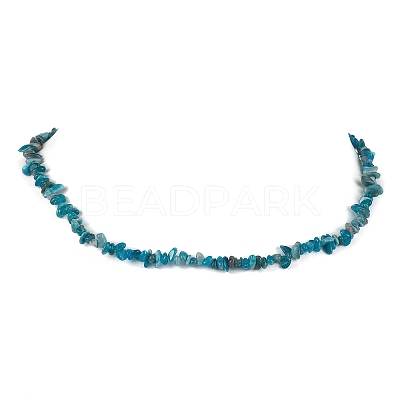 Natural Apatite Chip Beaded Necklace NJEW-JN04615-15-1