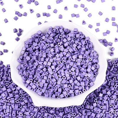 FGB Baking Paint Glass Seed Beads SEED-Q040-09A-16-1