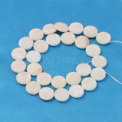 Natural White Shell Beads Strands X-PBB251Y-2-1
