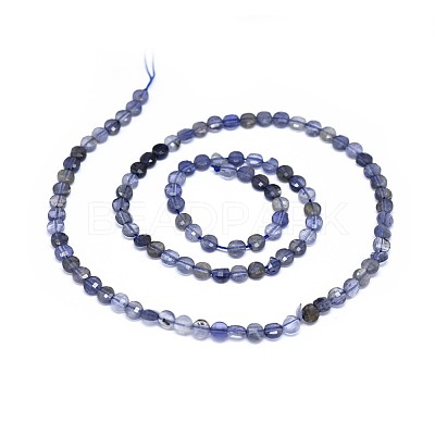 Natural Iolite Beads Strands G-I249-A04-1