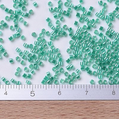 MIYUKI Delica Beads X-SEED-J020-DB0238-1