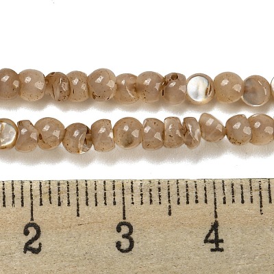 Natural White Shell Dyed Beads Strands BSHE-Z005-03A-1