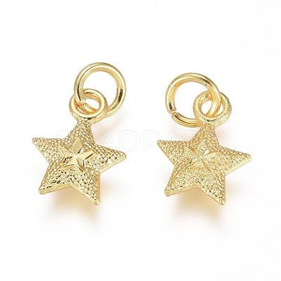 Electroplated Alloy Charms X-PALLOY-G267-09G-1