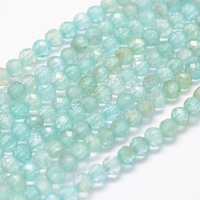 Natural Apatite Beads Strands G-F460-41-1