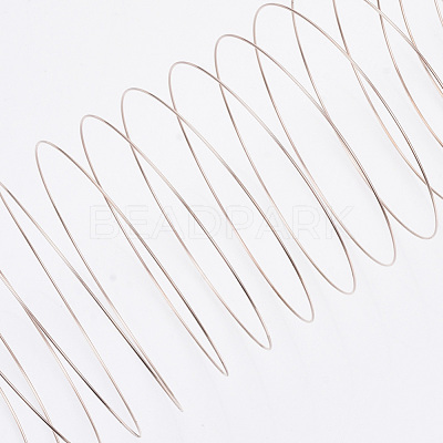 Steel Memory Wire TWIR-R006-0.6x60-RG-NF-1