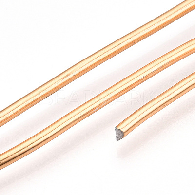 Round Anodized Aluminum Wire AW-S001-3.0mm-28-1