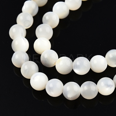 Natural White Shell Bead Strands SSHEL-N003-144D-01-1