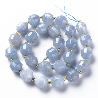 Natural Dolomite Beads Strands G-T131-126A-1