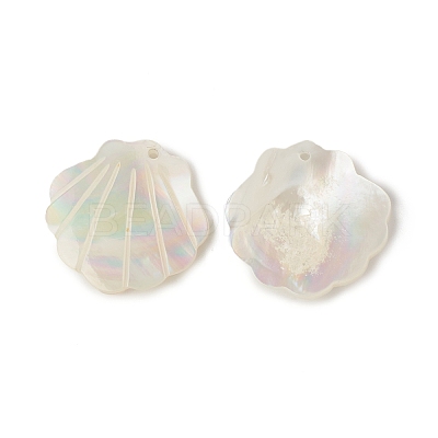 Natural Sea Shell Pendants X-SSHEL-T012-11-1