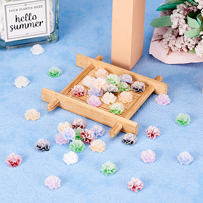 50pcs 5 colors Frosted Resin Flower Cabochons CRES-TA0001-27-1