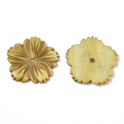 Natural Freshwater Shell Beads X-SHEL-N026-10-1