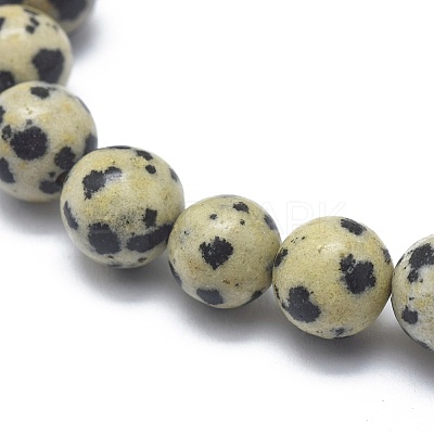 Natural Dalmatian Jasper Bead Stretch Bracelets X-BJEW-K212-A-014-1