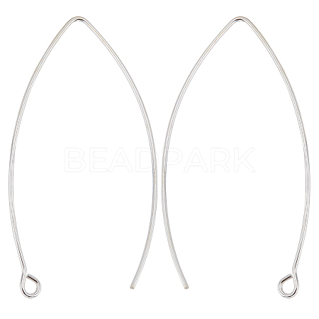 Beebeecraft 5 Pairs 925 Sterling Silver Earring Hooks STER-BBC0001-34-1