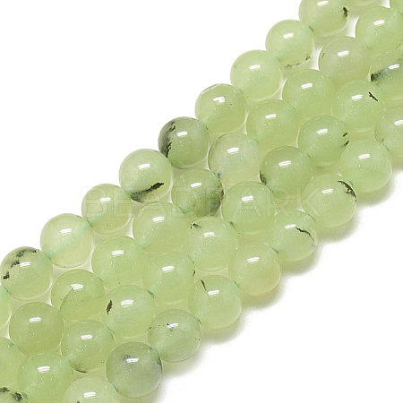 Natural Prehnite Beads Strands G-S300-118-8mm-1
