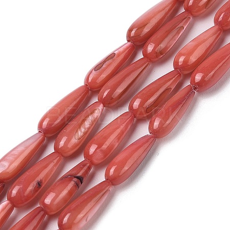 Natural Freshwater Shell Beads Strands SHEL-A004-03F-1