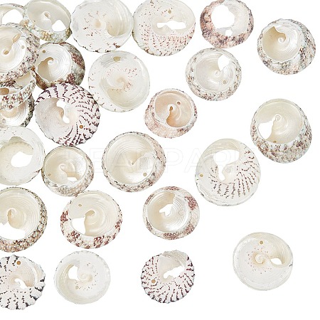 Natural Spiral Shell Beads SSHEL-NB0001-15-1