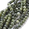 Natural Taiwan Jade Beads Strands Z0NCT012-6