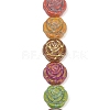 Painted Glass Beads Strands GLAA-F133-07C-1