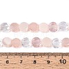 Electroplate Glass Beads Strands EGLA-N022-03A-A08-4
