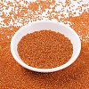 MIYUKI Round Rocailles Beads X-SEED-G007-RR0009-2