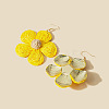 Flower Alloy Raffia Dangle Earrings FS-WG89508-03-2