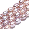 Natural Cultured Freshwater Pearl Beads Strands PEAR-N012-04Q-4