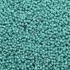 TOHO Round Seed Beads X-SEED-TR11-0413-2