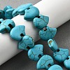Synthetic Turquoise Bead Strands G-M150-27-01-5
