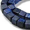 Natural Lapis Lazuli Beads Strands G-C084-E05-01-4
