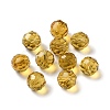 K9 Glass Imitation Austrian Crystal Beads GLAA-H024-17D-2