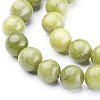 Natural Taiwan Jade Beads Strands X-GSR032-3