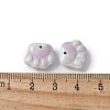 Natural Rainbow Alashan Agate Charms G-G194-01E-3