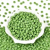 Opaque Colours Glass Seed Beads SEED-N007-39A-03-2