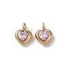 High Polished 304 Stainless Steel Micro Pave Cubic Zirconia Pendants STAS-L022-396A-G-1