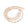 Natural Freshwater Shell Beads Strands SHEL-T011-02-3mm-2