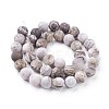 Natural America Petrified Wood Beads Strands G-P430-03-D-1