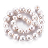 Natural Keshi Pearl Beads Strands PEAR-S020-L03-3