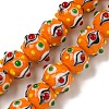 Handmade Lampwork Beads Strands LAMP-N025-05H-1