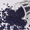 11/0 FGB Grade A Baking Paint Glass Seed Beads X-SEED-N001-A-1009-1