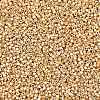 MIYUKI Delica Beads X-SEED-J020-DB2501-2