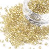 (Repacking Service Available) Round Glass Seed Beads SEED-C016-3mm-162-1