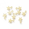 Brass Charms LS-KK-H739-01A-G-4