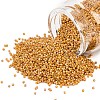 MIYUKI Delica Beads SEED-X0054-DB2303-1