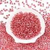 6/0 Baking Paint Transparent Fringe Glass Seed Beads X1-SEED-N006-06F-2