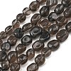 Natural Ice Obsidian Beads Strands G-P623-A01-01-2