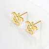 Stainless Steel Stud Earring LM7211-1-3