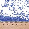 TOHO Round Seed Beads X-SEED-TR11-0934F-4