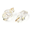 Transparent Resin Pendants RESI-E028-01G-09-3